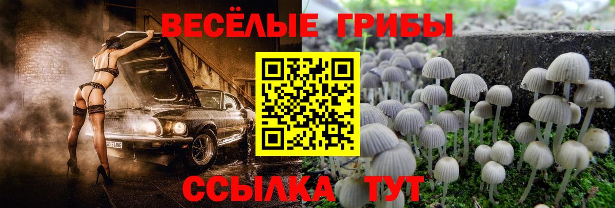 Каменск-Шахтинский  Галлюциногенные грибы прущие грибы  Вход с VPN 