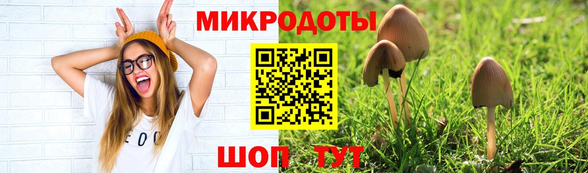 Галлюциногенные грибы ЛСД Каменск-Шахтинский